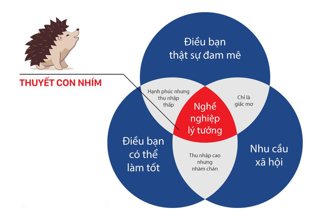 Tổng hợp 87 hình về mô hình con nhím jim collin  NEC