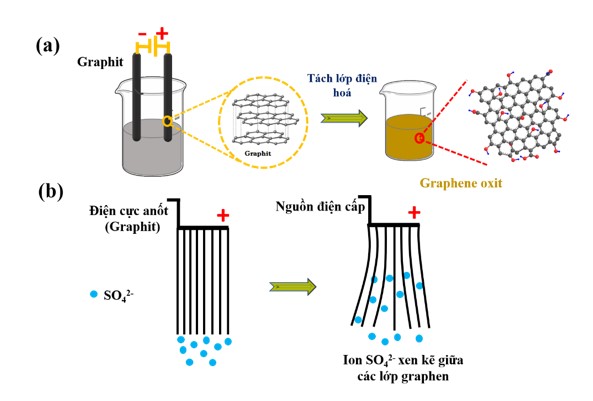 Tổng hợp 99 hình về các lớp trong mô hình cảm biến  NEC